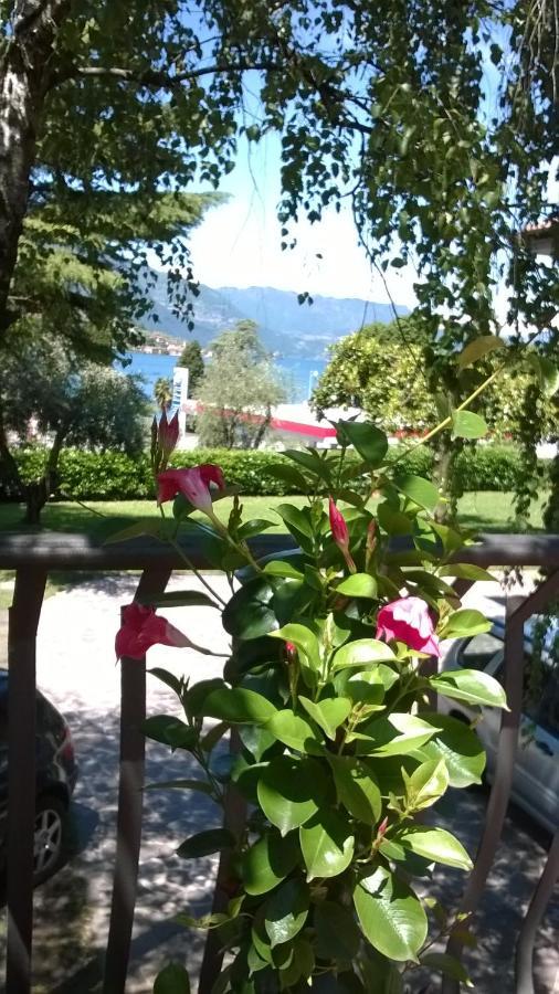 Villa Leilani B&B 塞里马拉西诺 外观 照片