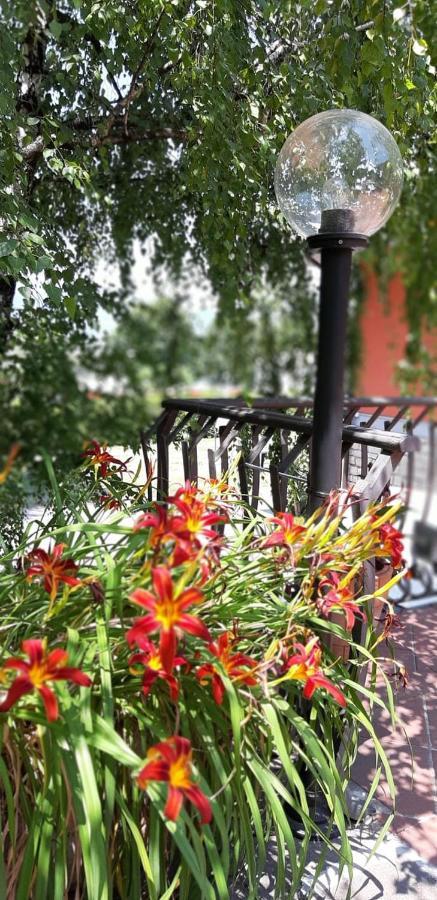 Villa Leilani B&B 塞里马拉西诺 外观 照片